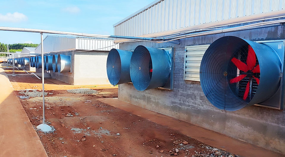 Application example of the cone fan